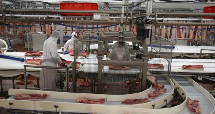 1.000 infectats per covid-19 a l'escorxador Litera Meat d'Osca