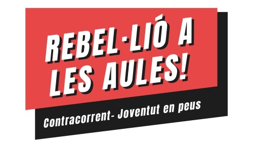Eleccions estudiantils a la UB: vota per la Rebel·lió a les aules!