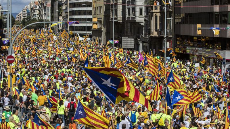 Diada de Catalunya: els partits processistes no representen la lluita per l'autodeterminació i l'amnistia